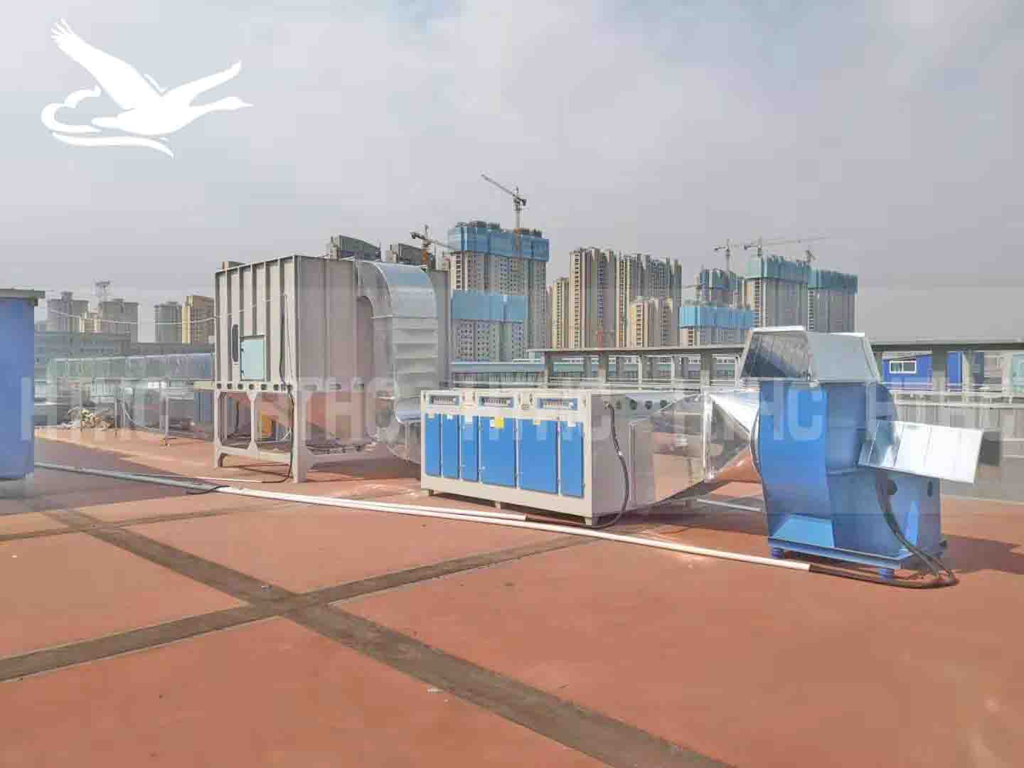 ���S�ş�����