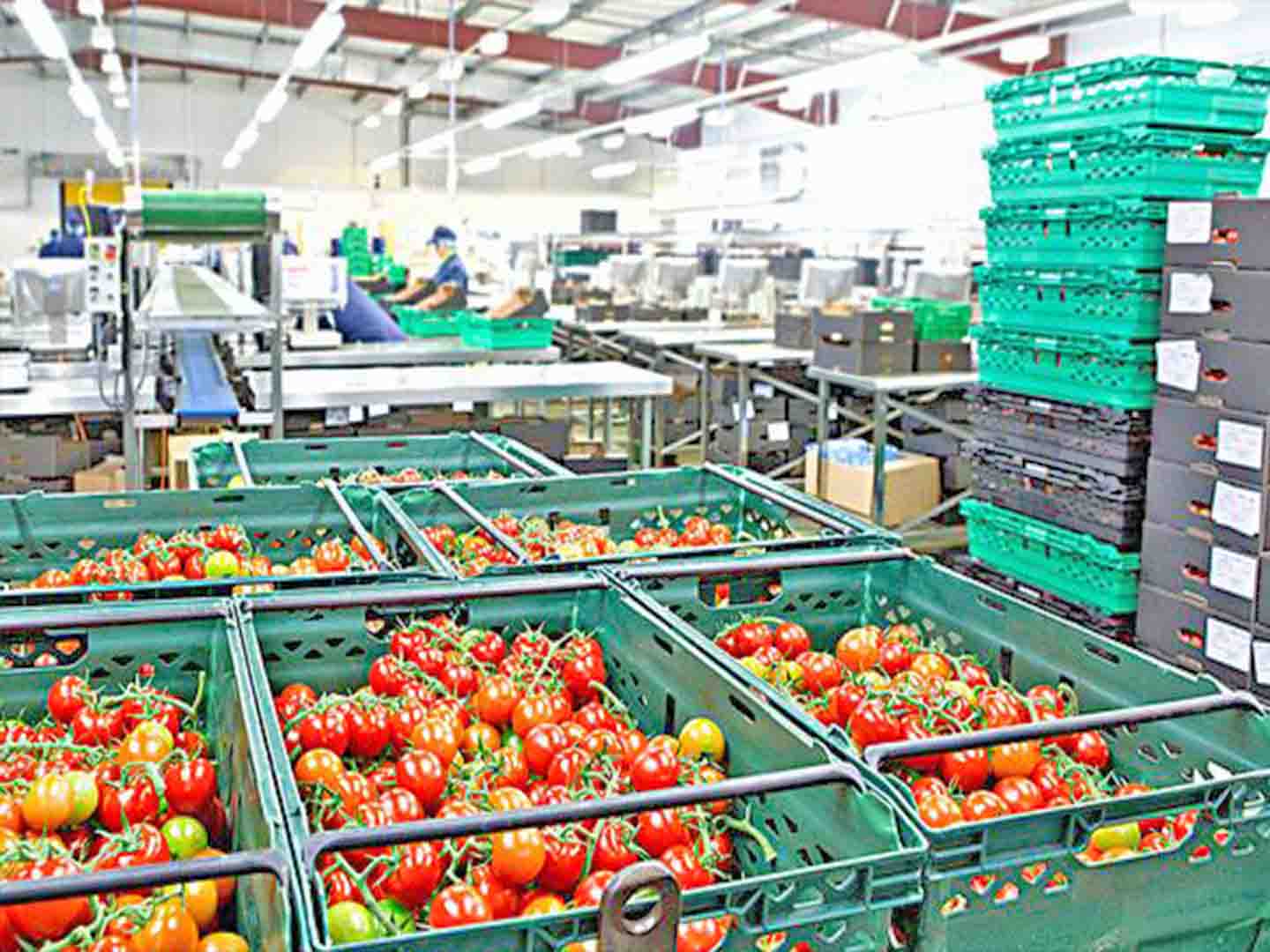 ʳƷ�ӹ��S����ϏS