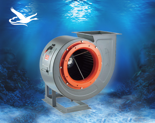 CY-11-62�N�������L�C