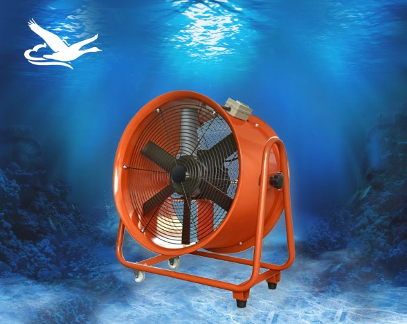 CY-CMF�Ƅ��L�C