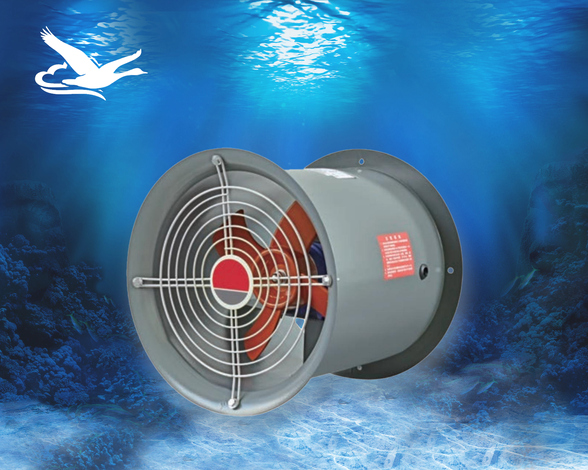 T35-11���S���L�C