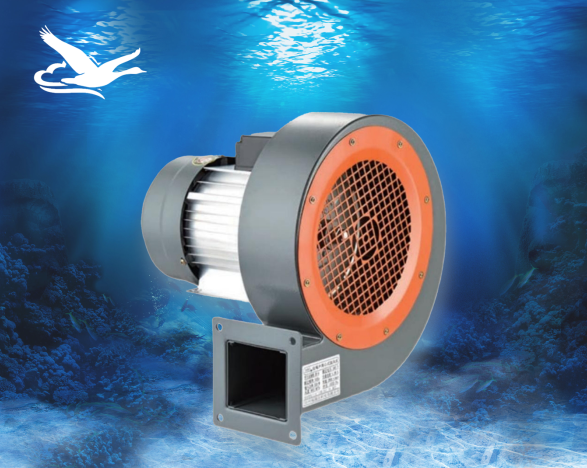 CY-DF低噪聲鼓風機