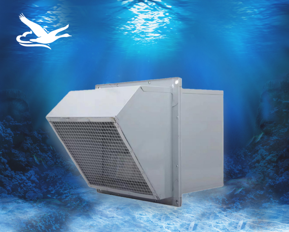 CY - DWEX(WEX)��߅���L�C