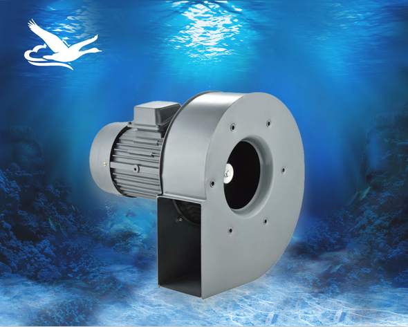 CY- HY�������m�L�C