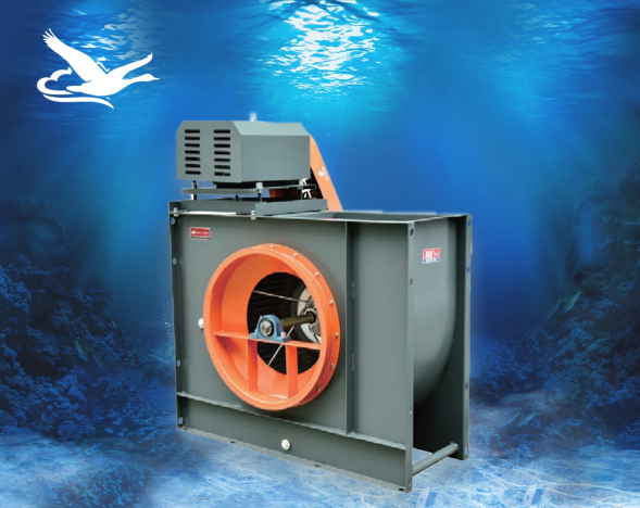 CY-DX-E�̘I�N��ͨ�L�C